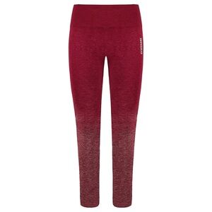 Gymshark Ombré Leggings